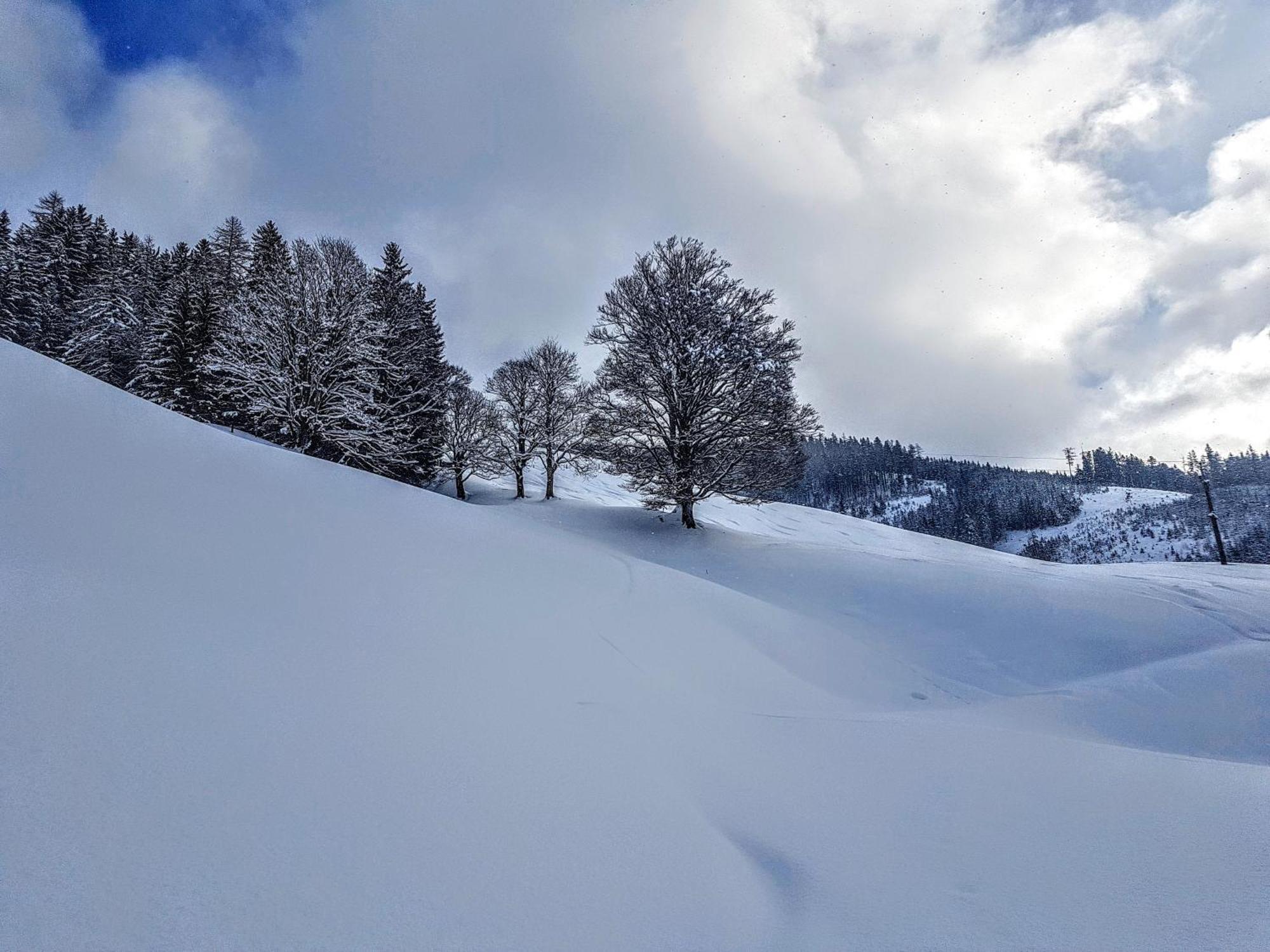 Selbstversorgerhuette Noesslau Alm Dienten am Hochkoenig Exterior photo