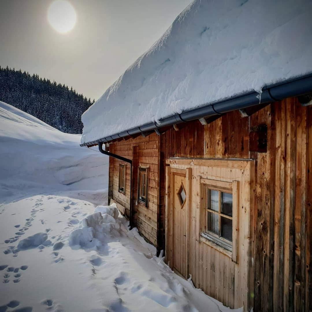 Selbstversorgerhuette Noesslau Alm Dienten am Hochkoenig Exterior photo