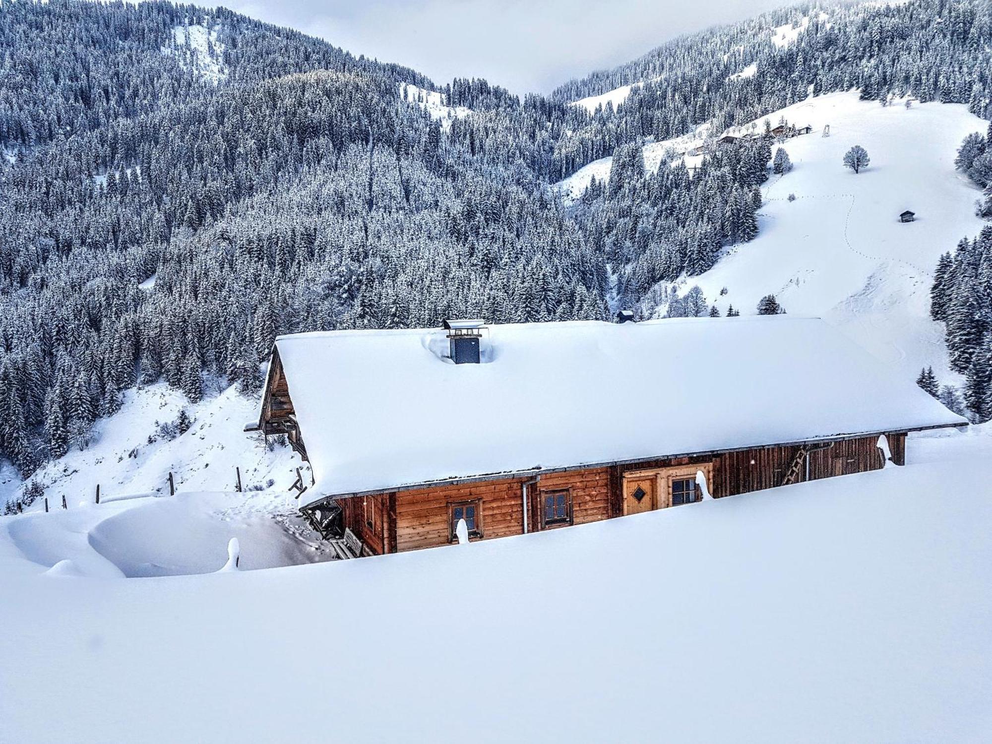 Selbstversorgerhuette Noesslau Alm Dienten am Hochkoenig Exterior photo